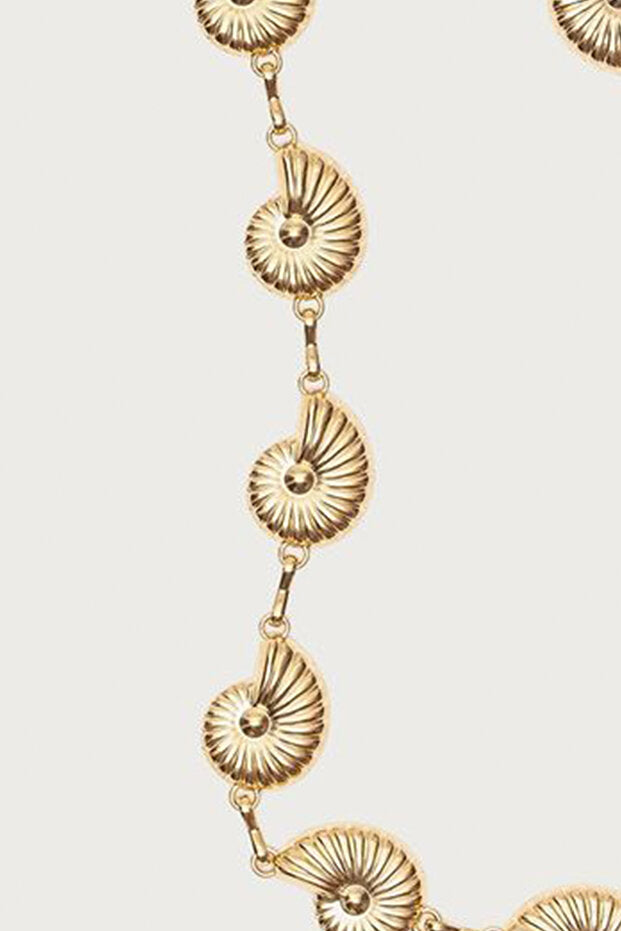 Deniz Kabuğu Desen Zincir Kemer