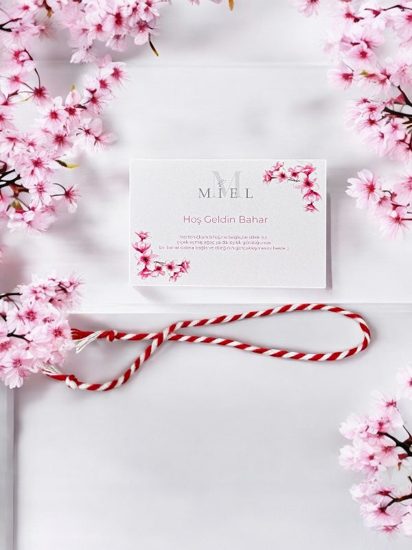 Marteniçka Şans Bileklik 10 Adet